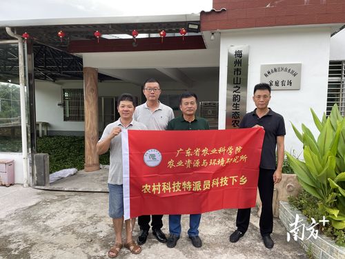 建基地传技术 省农村科技特派员助力梅州南药 茶叶产业发展