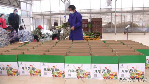 江夏一农企每天免费供应1吨新鲜蔬菜